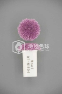 DT N1604