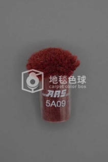 ARS 5A09