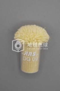 ARS DG09