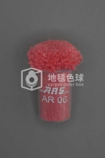 ARS AR06