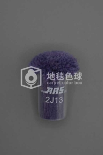 ARS 2J13