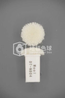 DT N804