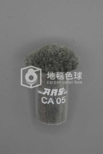 ARS CA05