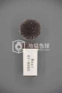 DT N085
