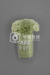 ARS B077