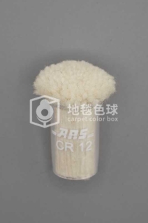ARS CR12