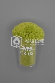 ARS CK02