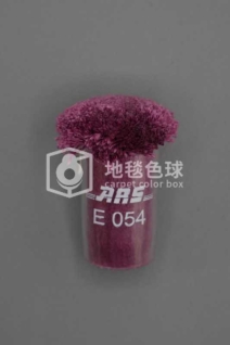 ARS E054