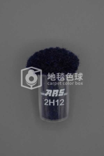 ARS 2H12