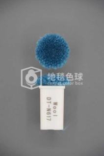 DT N617