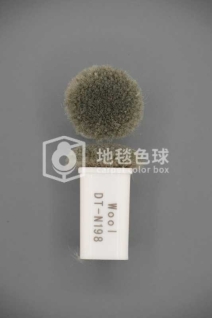 DT N198