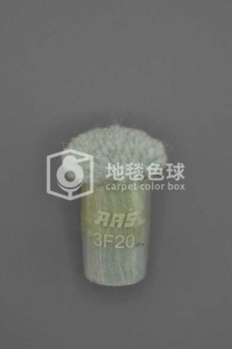 ARS 3F20