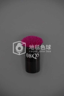 08Q5