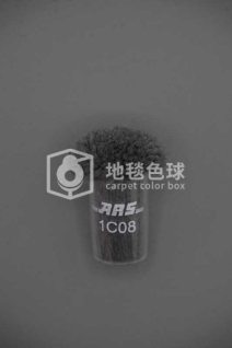 ARS 1C08