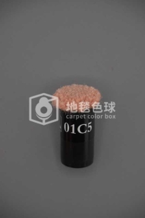 01C5