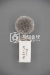 DT N379