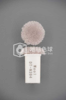 DT N394