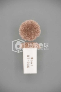 DT 035