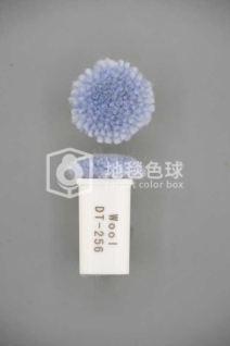 DT 256