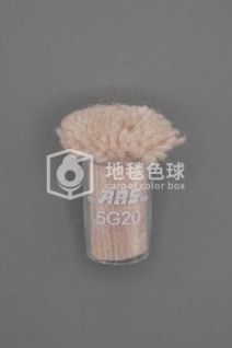 ARS 5G20