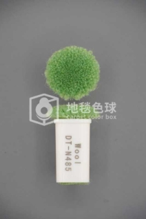 DT N485