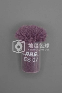ARS ES07