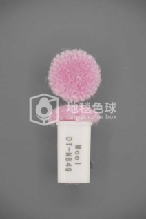 DT N849