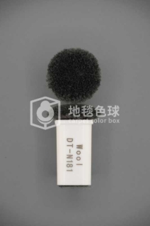 DT N181