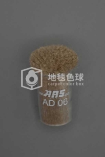 ARS AD06