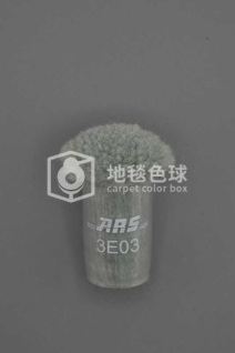 ARS 3E03