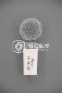 DT N015