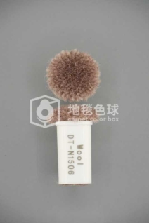DT N1506