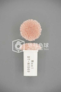DT N1569