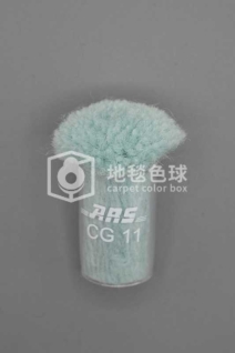 ARS CG11
