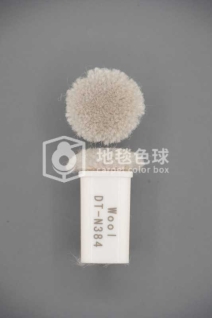 DT N384