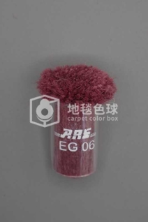 ARS EG06