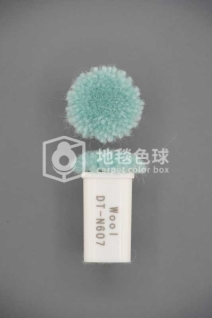 DT N607