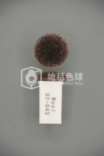 DT 043