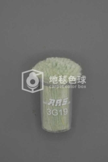 ARS 3G19