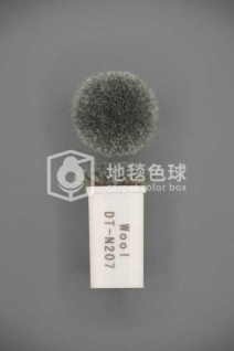 DT N207