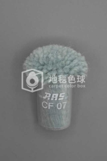 ARS CF07