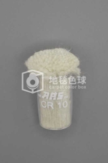 ARS CR10