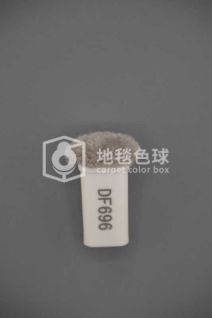 DF696
