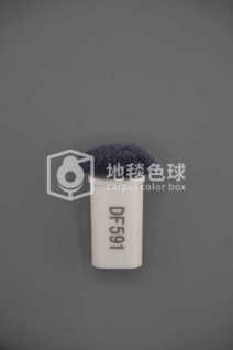 DF591