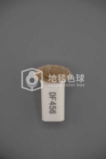 DF456