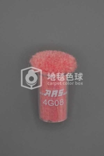 ARS 4G08