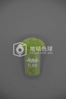 ARS 1L06
