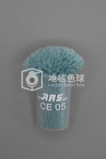 ARS CE05