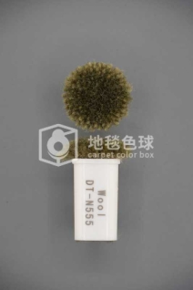 DT N555