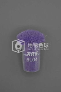 ARS 5L04